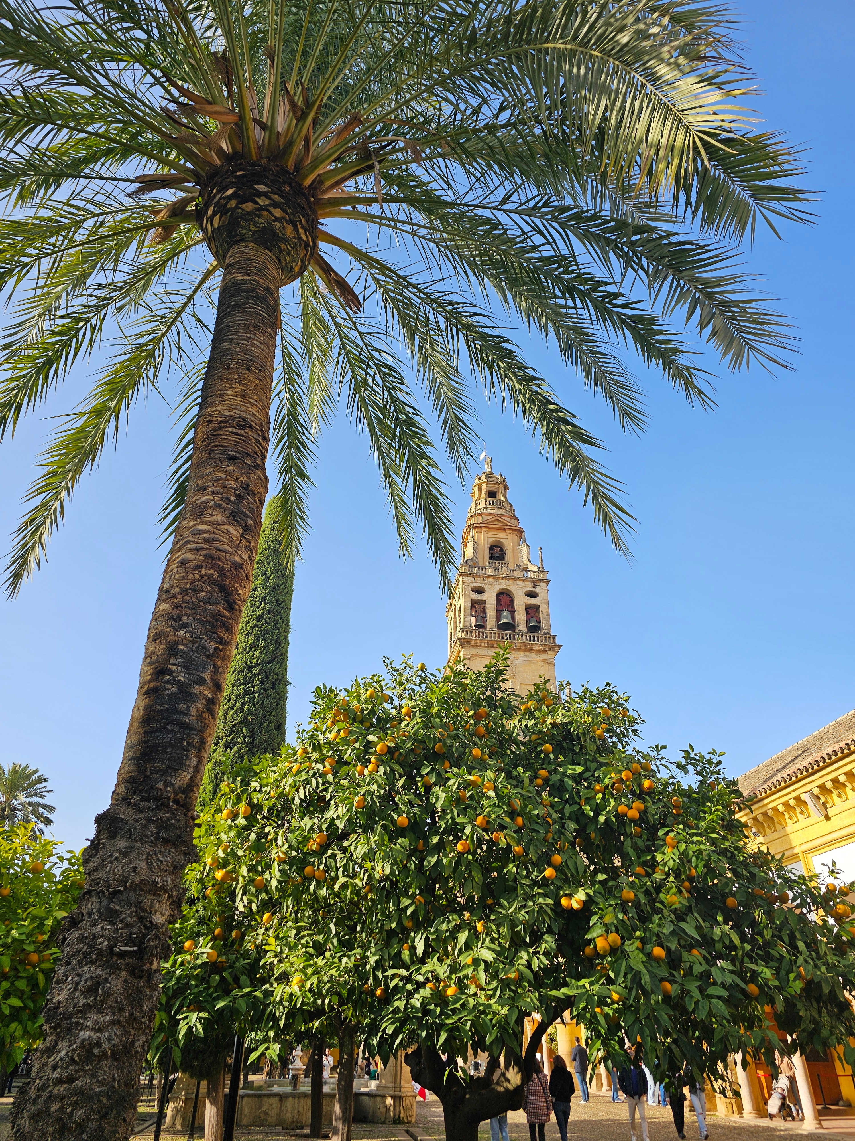 S_Spain